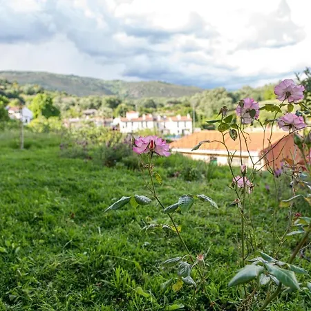 Appartement Perla Vera - Country Modern Villanueva De La Vera