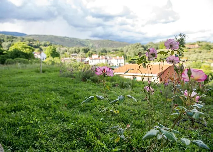 Apartamento Perla Vera - Country Modern Villanueva De La Vera